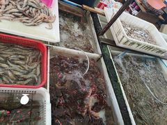 -毕家疃综合市场