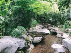 -龙头寺公园