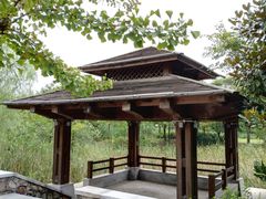-尚贤河湿地
