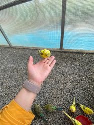 -萌宠亲子动物乐园(槐房万达店)