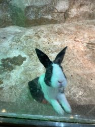 点击看大图 -宝燕乐园(闵行旗舰店)