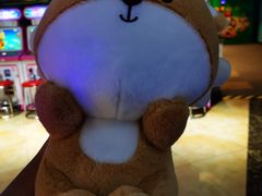 -大玩家(万达广场大连甘井子店)