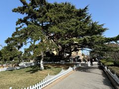 -青岛德国总督楼旧址博物馆