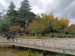 -洪记凉米线(新兴路店)