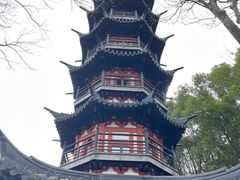 -上海佘山国家森林公园西佘山园