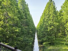 -黄海国家森林公园