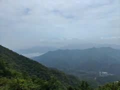 -梧桐山风景名胜区