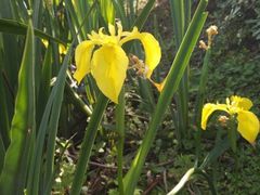 -白鹭湾湿地公园