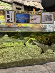 -Zoolung Zoolung动物主题公园(海信广场店)