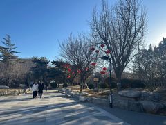 -丰台花园