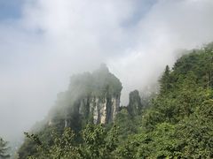 -蝶舞清江·恩施云顶景区(黄鹤峰林)