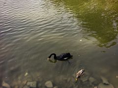 -芭东小镇温泉