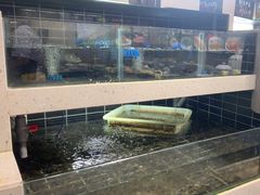 -农乐园食府(梅城镇店)