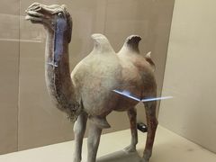 -敦煌市博物馆