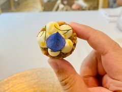 -蝶舍·MAISON PAPILLON