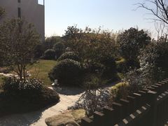 -上海崇明金茂凯悦酒店