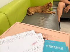 -北京观赏动物医院·24小时大型综合·猫专科·异宠专科