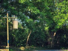 -梁鸿国家湿地公园