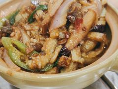 -力哥地道海南菜·联谊文昌鸡老店