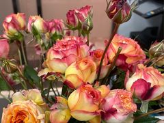 -金逸影城(光美江宁IMAX店)