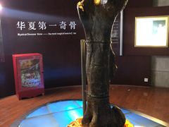 -诸城市恐龙博物馆