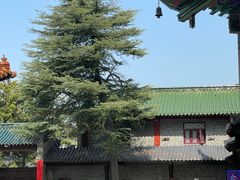 -高旻寺