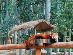 -北京野生动物园