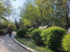 -前关湿地公园