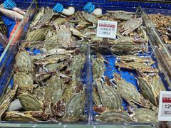 -高佳庄·舟山海鲜(海景旗舰店)