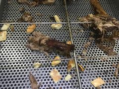 -西夏一品烤全羊(百桥路店)