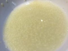 -石头门坎