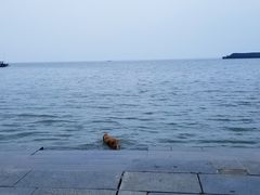 -湖南东洞庭湖国家级自然保护区