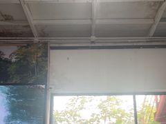-千岛湖九龙溪漂流