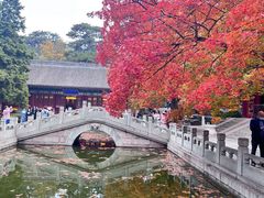 -香山公园