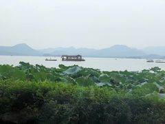 -湖畔居茶楼(湖滨店)