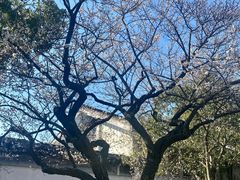 -无锡梅园公园
