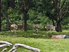 -常州淹城野生动物世界