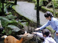 -昆明青龙峡风景区