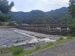 -岚山猴子公园