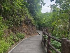 -羚羊峡古栈道森林公园