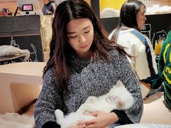 -瞄一喵猫咖(格力海岸店)