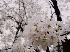 -堤角公园