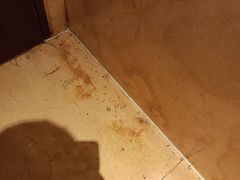 -上海齐鲁酒店·辣椒屋咖啡厅