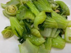 生炒水东芥菜-榕记(番禺总店)