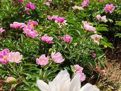 -金堂县云顶石城风景区