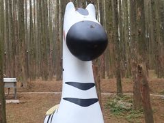 -山王坪喀斯特国家生态公园