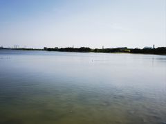 -郑东新区龙湖公共艺术中心