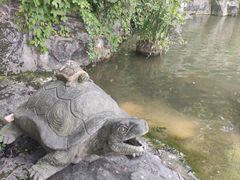 -陶祖圣境风景区