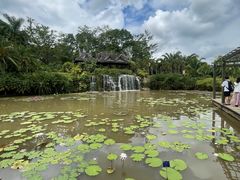 -中国科学院西双版纳热带植物园