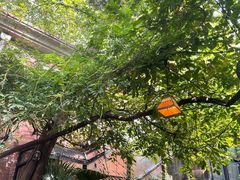-古董花园(思南路42弄小区店)